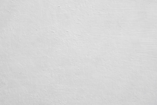 Professional Mold Removal in Penns Grove, NJ