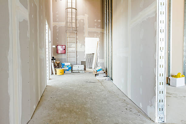 Best Commercial Mold Inspection  in Penns Grove, NJ